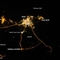 美国宇航局每日卫星照 宇航员太空拍卡塔尔夜景