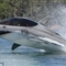 美发明家打造鲨鱼船 可潜水腾空高达近4米