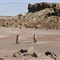 美科学家沙漠模拟火星生活 为移民太空积累经验