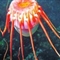 智利海域发现“异形”深海水母